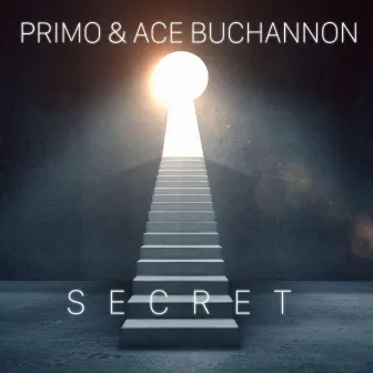 Secret by Ace Buchannon