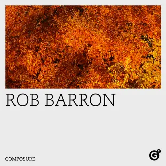 Composure by Rob Barron