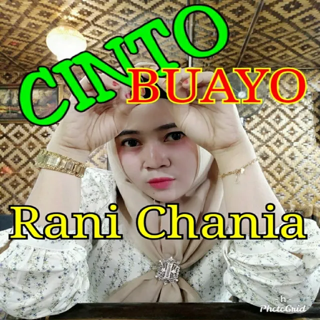 Cinto Buayo