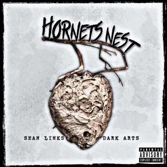 Hornets Nest by sean links