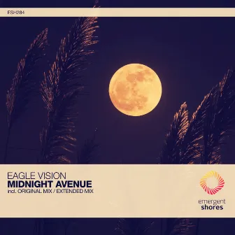 Midnight Avenue by Eagle Vision