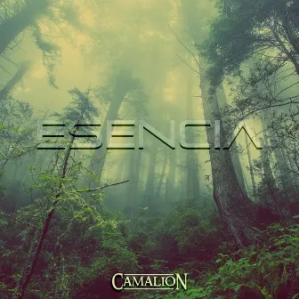 Esencia by Camalion