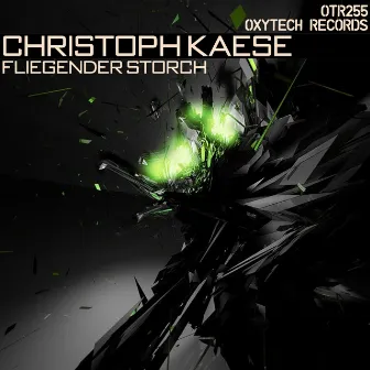 Fliegender Storch by Christoph Kaese