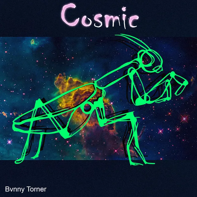 Cosmic