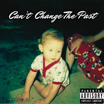 Can't Change the Past by The Shaggster