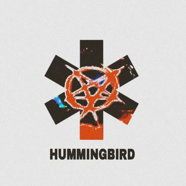 Hummingbird