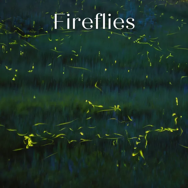 Fireflies