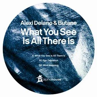 What You See Is All There Is by Alexi Delano