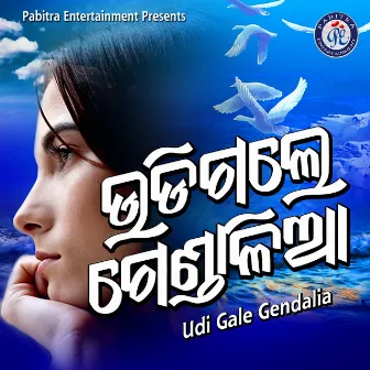 Udi Gale Gendalia by Prasant Muduli