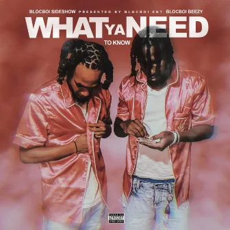 What Ya Need To Know by BlocBoi Beezy