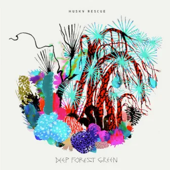 Deep Forest Green by Husky Rescue