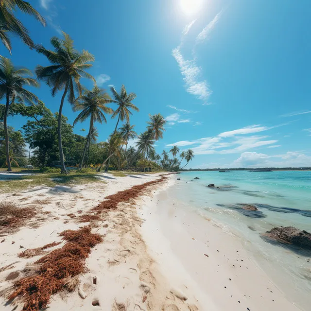 Oasis Oceánico: Mejorar La Concentración Con El Mar