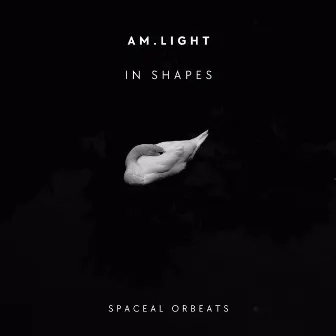 In Shapes by Am.Light