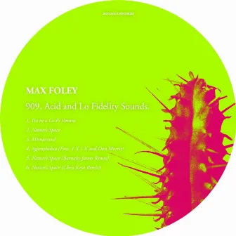 909, Acid and Lo Fidelity Sounds by Max Foley