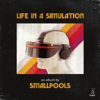 LIFE IN A SIMULATION by Smallpools