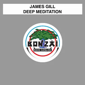 Deep Meditation by James Gill