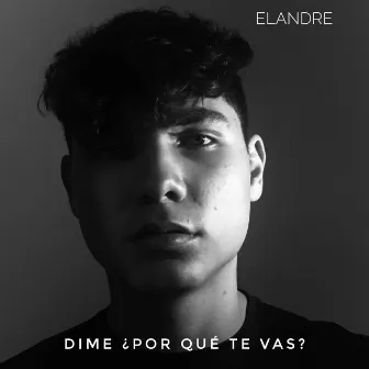 Dime ¿Por Qué Te Vas? by Elandre