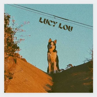 Lucy Lou by Helena Holleran