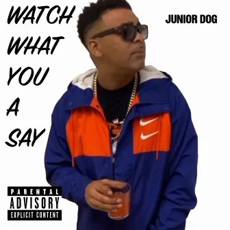 Watch What You a Say by Junior Dog