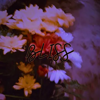 BLISS by Buzz Music