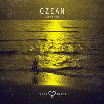 Ozean (OCEAN RMX) by OCEAN