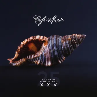 Café del Mar XXV (Vol. 25) by Café del Mar