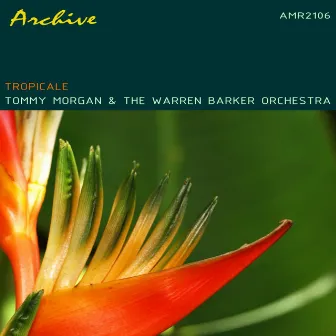 Tropicale by Warren Barker Orchestra