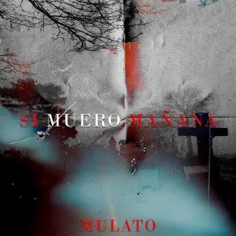 Si Mañana Muero by Mulato