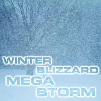 Winter Blizzard Megastorm by White Noise Sound FX