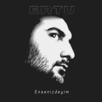 Ensenizdeyim by Ertu