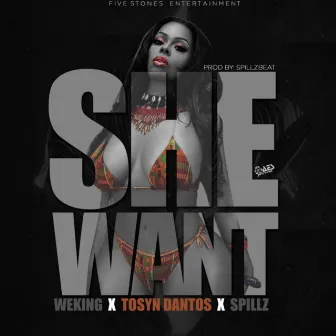 She Want by Tosyn Dantos