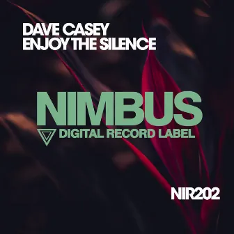 Enjoy The Silence by Dave Casey