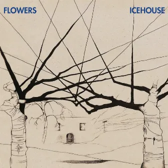 Icehouse (30th Anniversary Edition) by Flowers