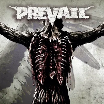 Prevail by Prevail