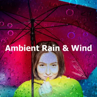 Ambient Rain & Wind by Relaxing Storm Noise