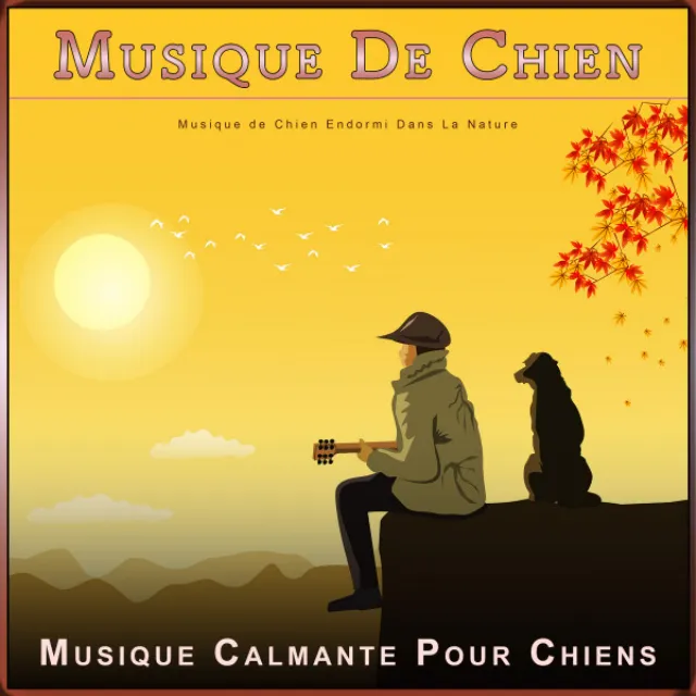 Musique Dormante Pour Chiens