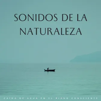 Sonidos De La Naturaleza: Caída De Agua En El Piano Consciente by Sonidos relajantes ASMR