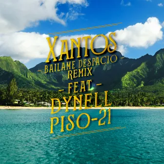 Bailame Despacio Remix (feat. Dynell, Piso 21) by Xantos