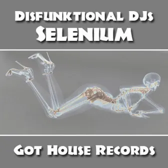 Selenium by Disfunktional DJs