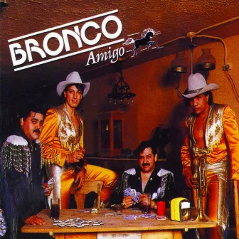 Bronco Amigo by Bronco