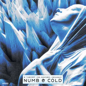 Numb & Cold by Mr. Rayger