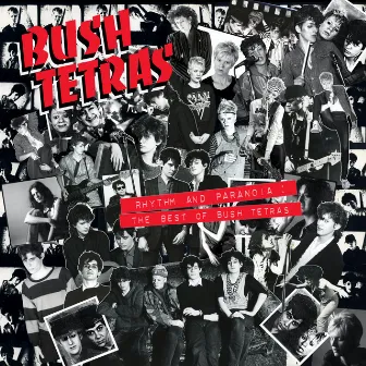 Cutting Floor by Bush Tetras