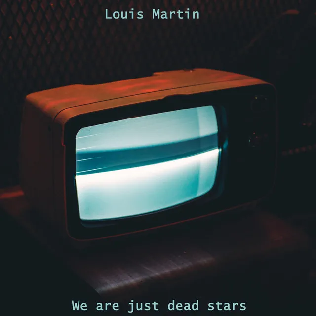 We Are Just Dead Stars