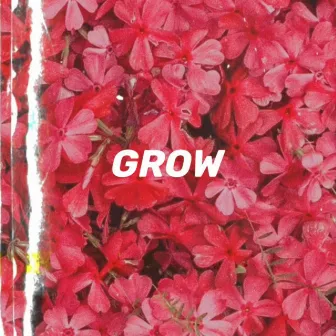 Grow by Ekichetu