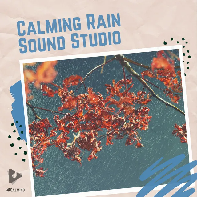 Calming Rain Sound Studio