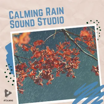 Calming Rain Sound Studio by #Calming