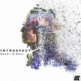 Introspect by Maddy O'Neal