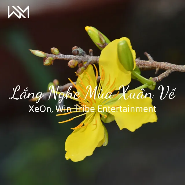 Lắng Nghe Mùa Xuân Về - Lofi Version