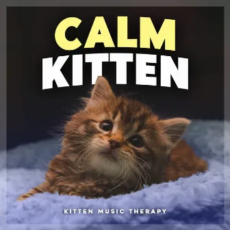 Calm Kitten by Kitten Music Therapy