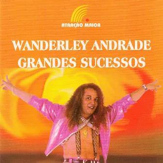 Grandes Sucessos by Wanderley Andrade